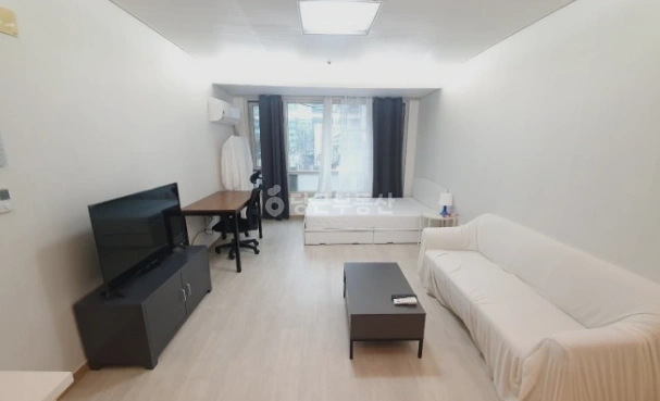 서울특별시 강남구 역삼동 오피스텔 사진 1