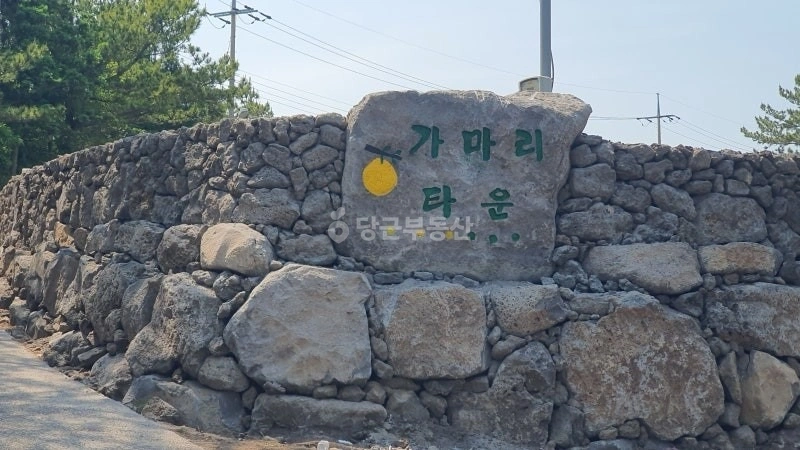 제주특별자치도 서귀포시 표선면 토지 사진 1