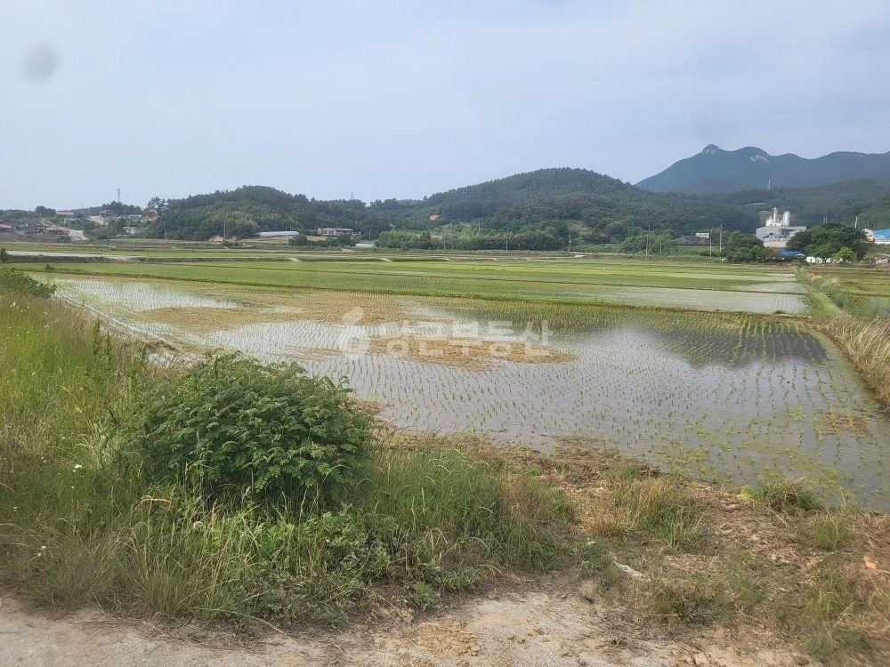 충청남도 서산시 팔봉면 토지 사진 1