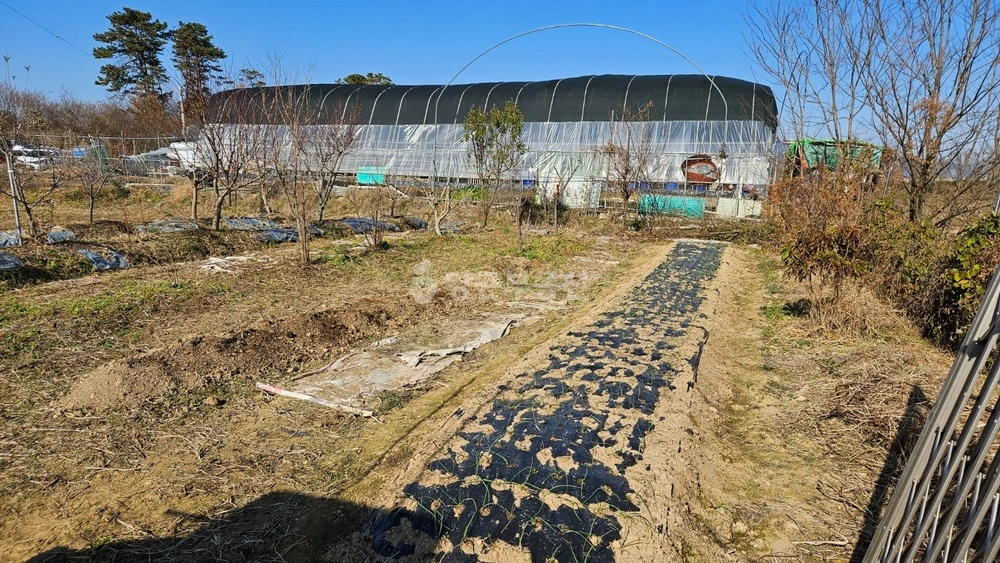 전남광주통합특별시 북구 태령동 토지 사진 1