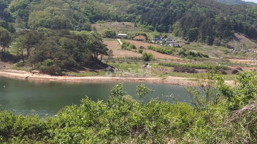 강원특별자치도 양구군 양구읍 토지 사진 1