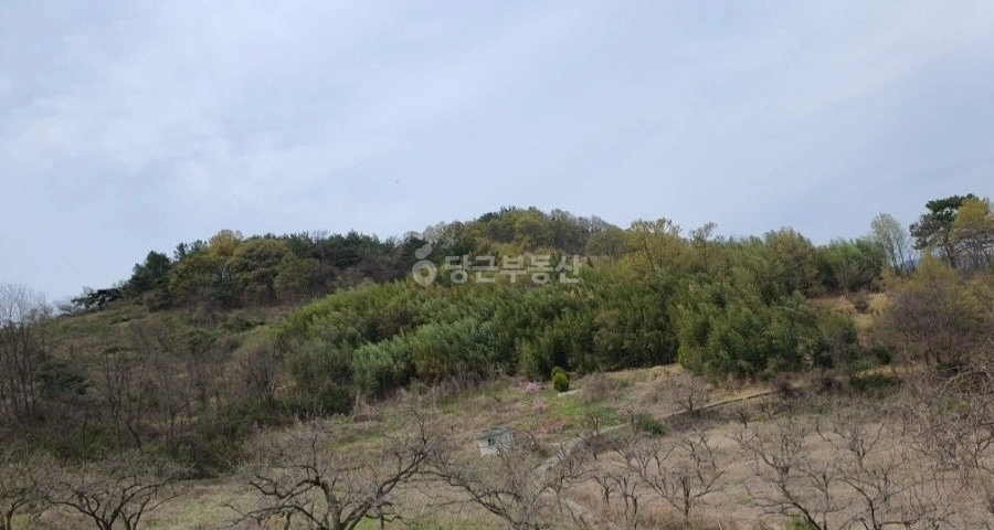 경상북도 청도군 화양읍 토지 사진 1