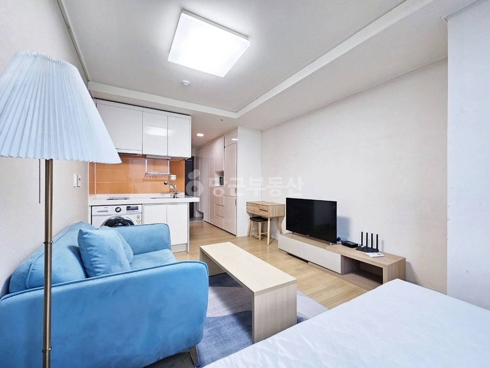 서울특별시 강남구 역삼동 오피스텔 사진 1