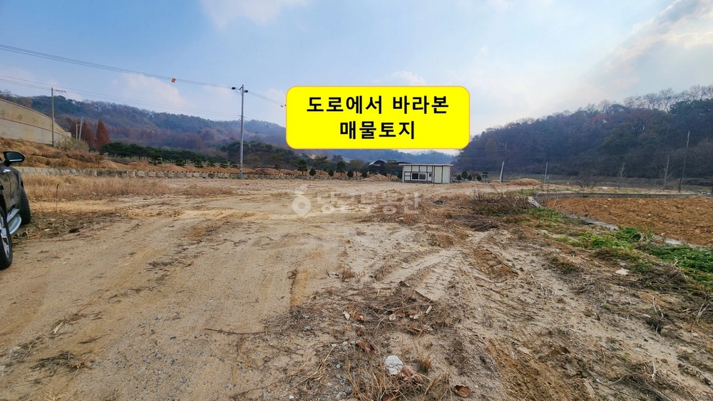충청북도 음성군 금왕읍 토지 사진 1
