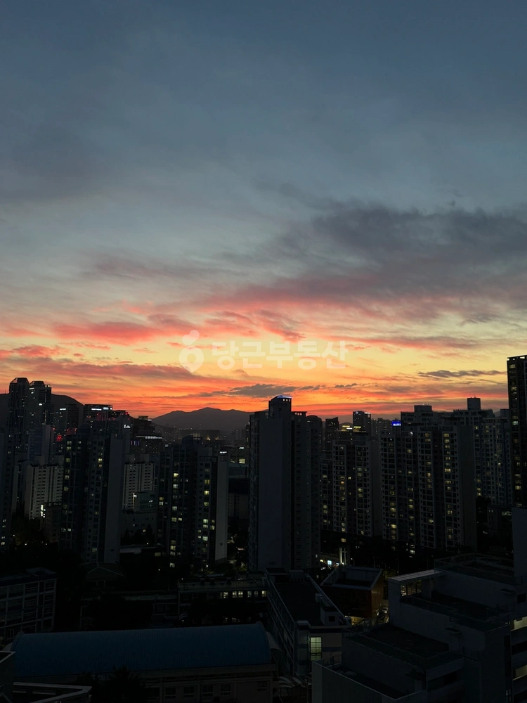 부산광역시 해운대구 우동 아파트 사진 1
