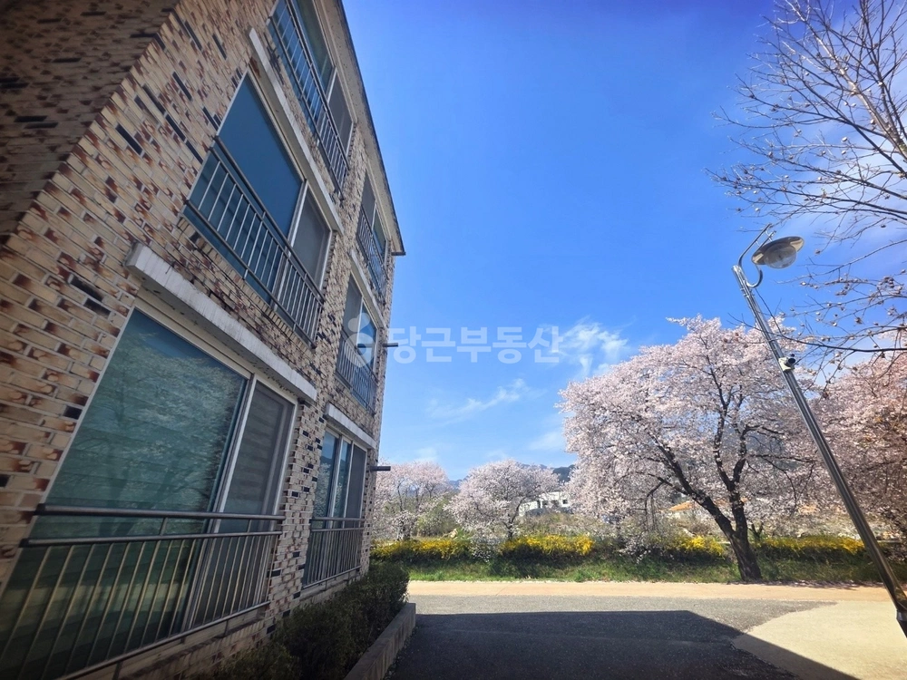 전남광주통합특별시 곡성군 곡성읍 빌라(투룸 이상) 사진 1