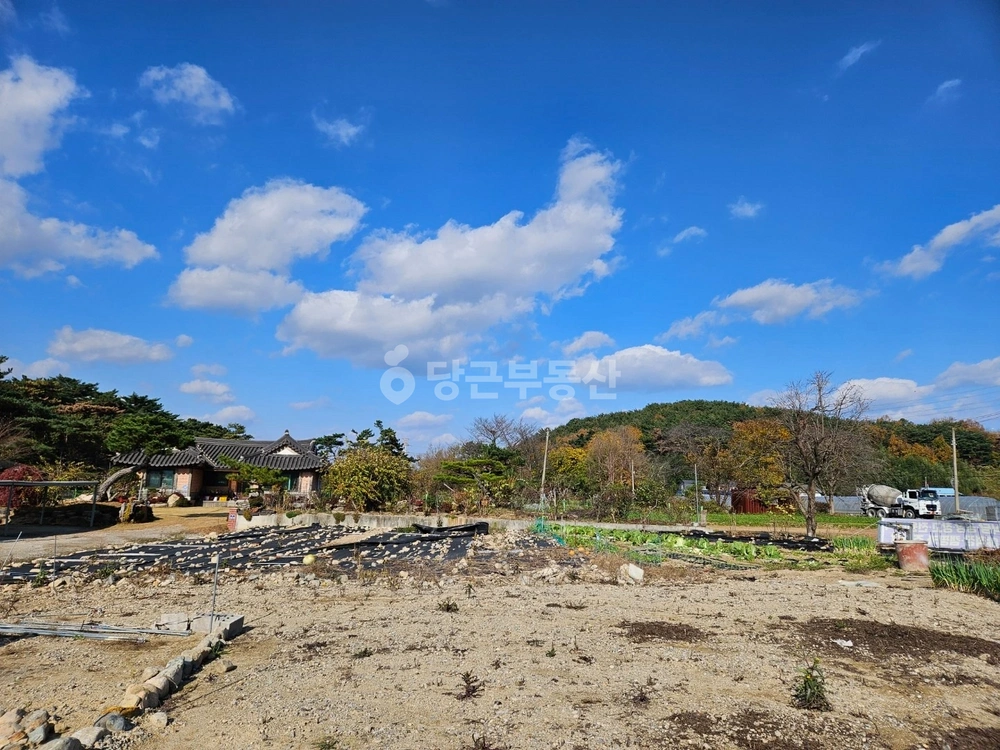 경상북도 포항시 남구 오천읍 토지 사진 1
