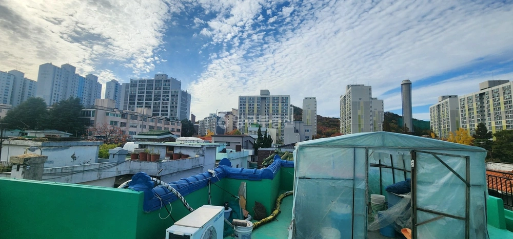 대구광역시 달서구 송현동 단독/전원주택 사진 1