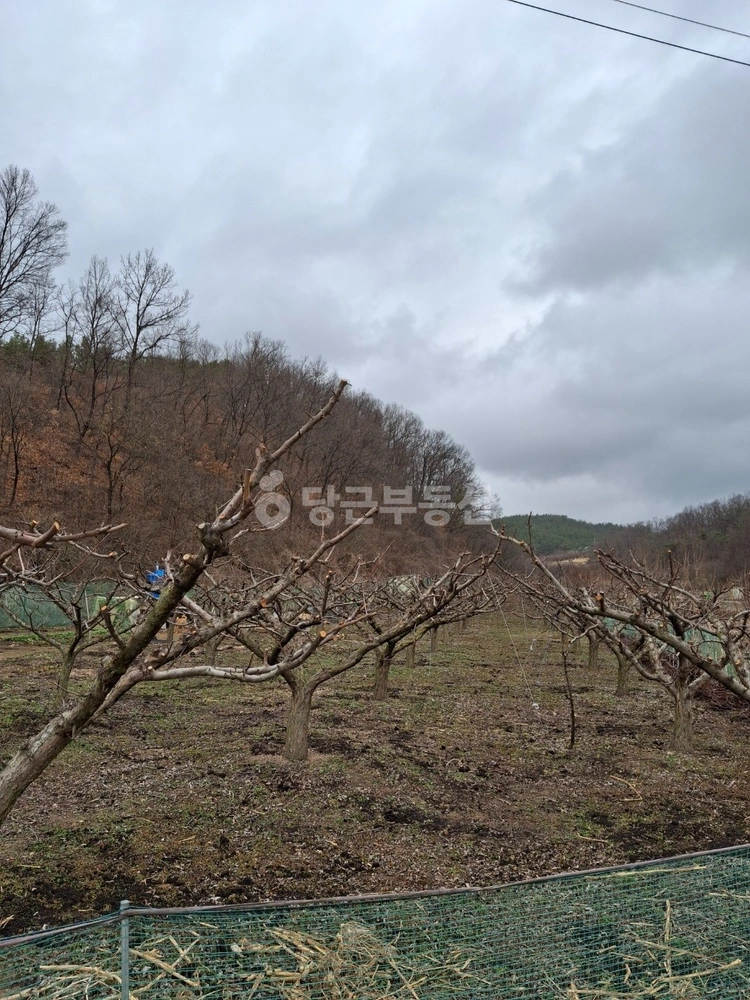 대구광역시 군위군 의흥면 토지 사진 1