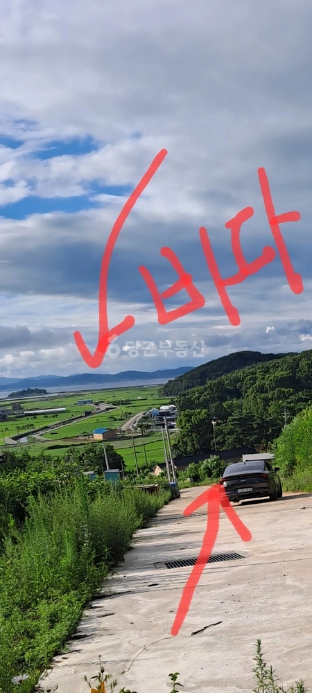 인천광역시 강화군 양사면 토지 사진 1