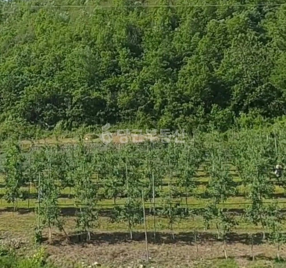 경상북도 청송군 안덕면 토지 사진 1
