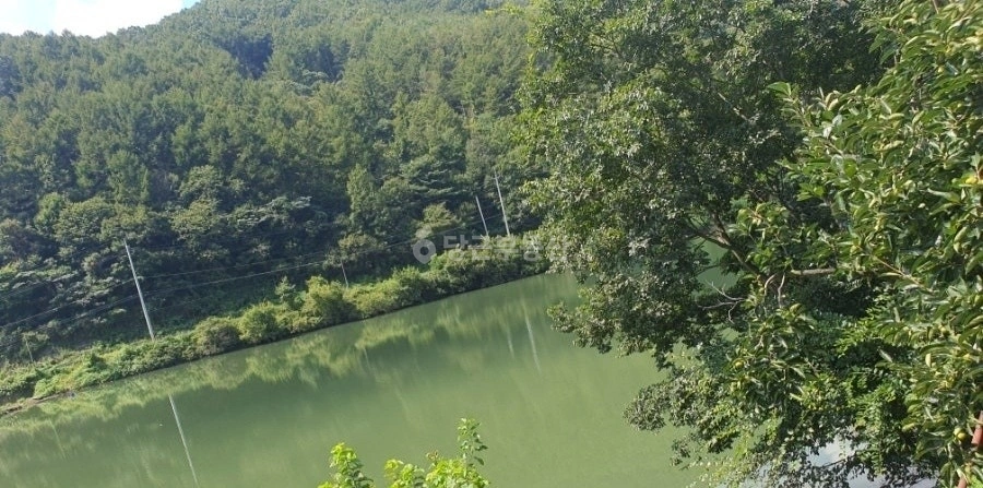 경상북도 청도군 매전면 토지 사진 1