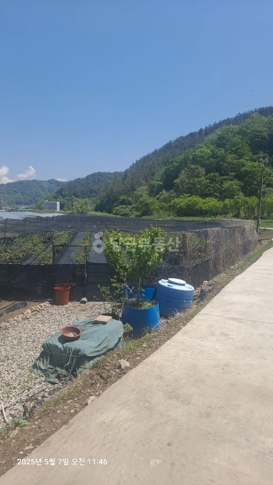 경상남도 진주시 집현면 토지 사진 1