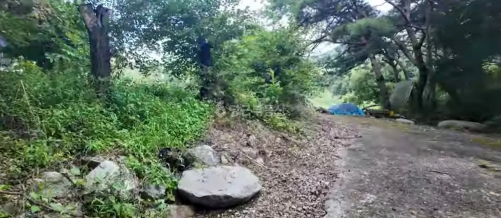 충청북도 보은군 산외면 단독/전원주택 사진 1