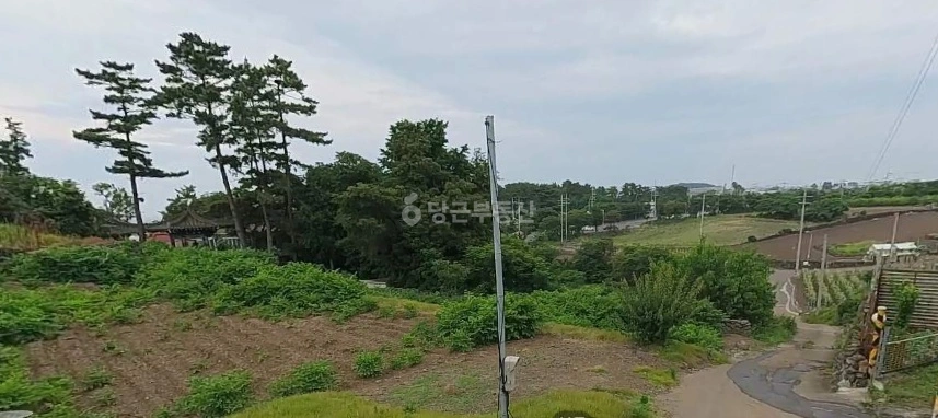 제주특별자치도 제주시 이호일동 토지 사진 1