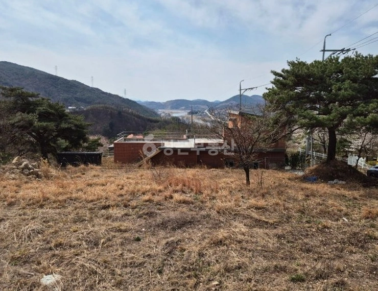 경상남도 산청군 신안면 토지 사진 1