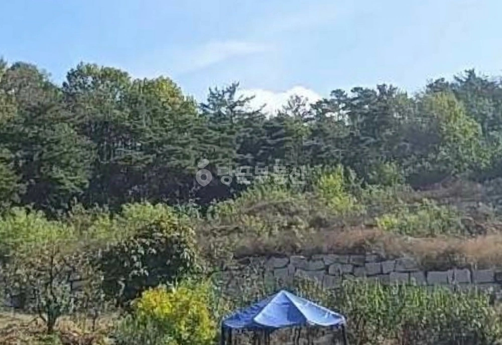 경상북도 청도군 화양읍 토지 사진 1