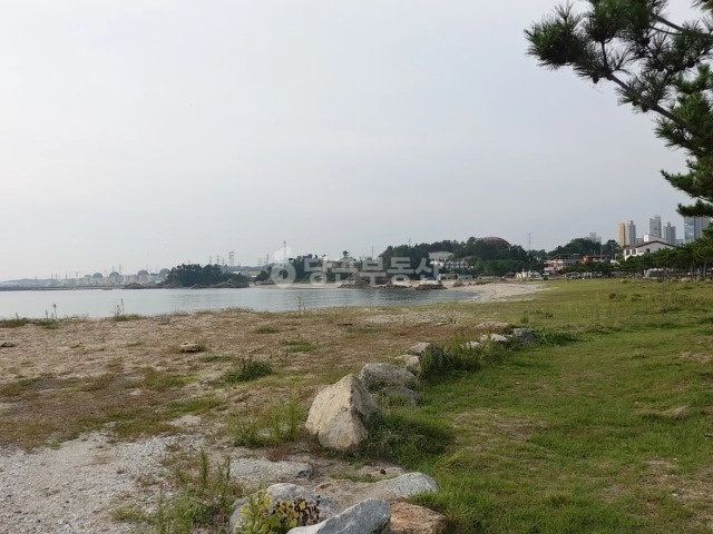 경상북도 울진군 북면 토지 사진 1