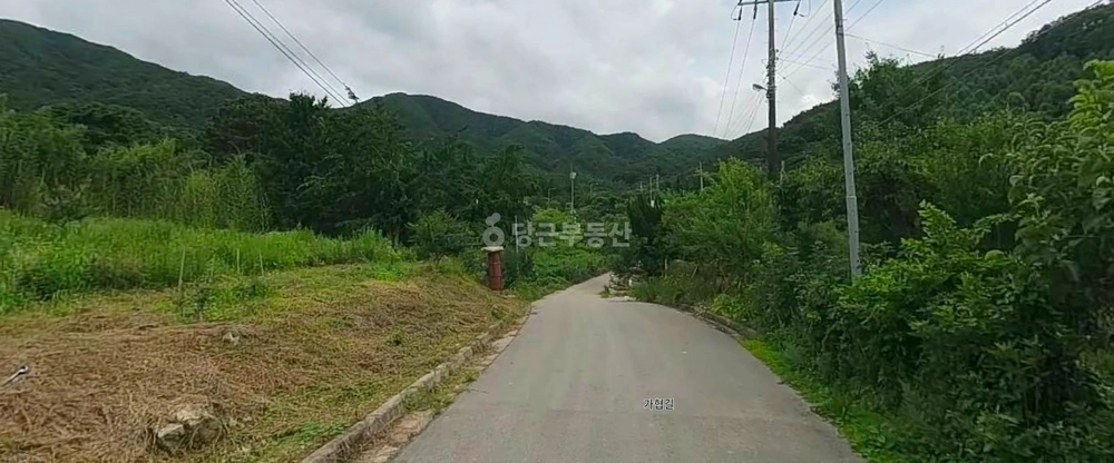전북특별자치도 고창군 고수면 토지 사진 1