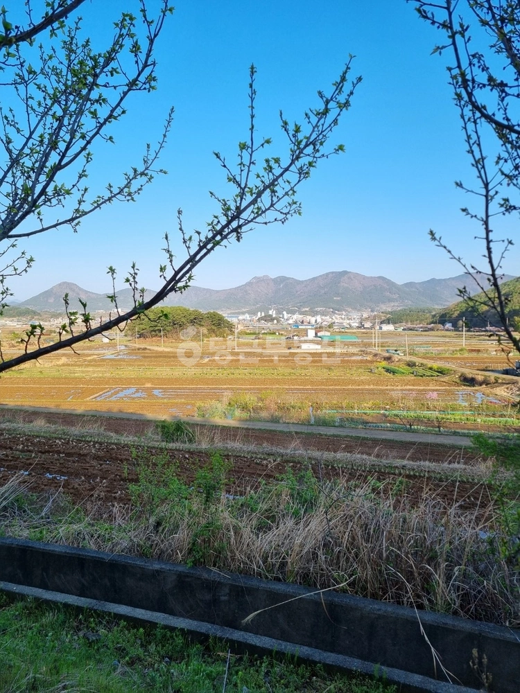 경상남도 거제시 거제면 토지 사진 1