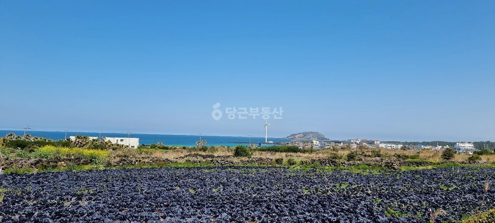 제주특별자치도 제주시 한경면 토지 사진 1