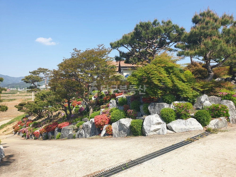 충청남도 예산군 삽교읍 단독/전원주택 사진 1