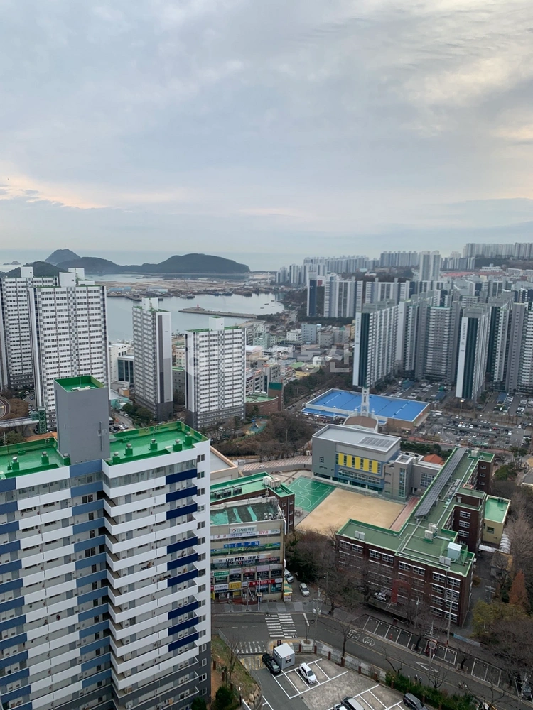 부산광역시 사하구 다대동 아파트 사진 1