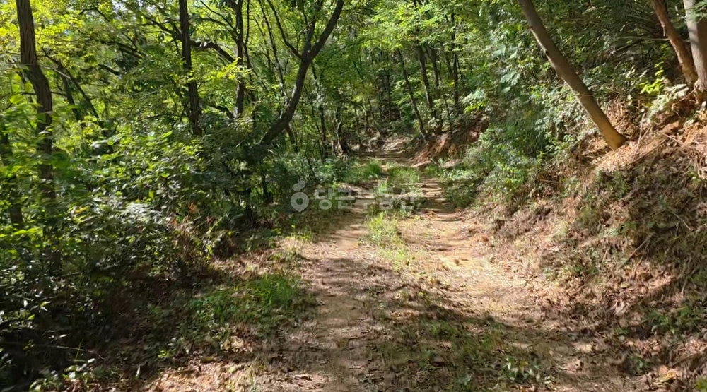 충청남도 천안시 동남구 안서동 토지 사진 1