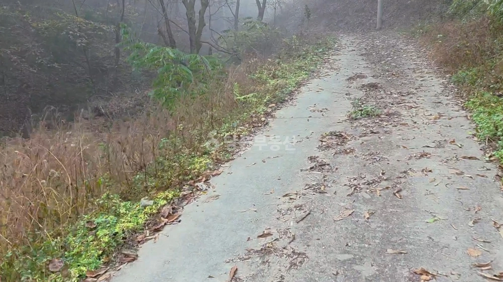 충청남도 공주시 우성면 토지 사진 1