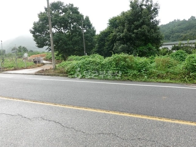 경상북도 문경시 마성면 토지 사진 1