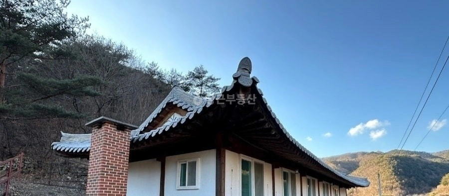 경상북도 포항시 북구 죽장면 단독/전원주택 사진 1