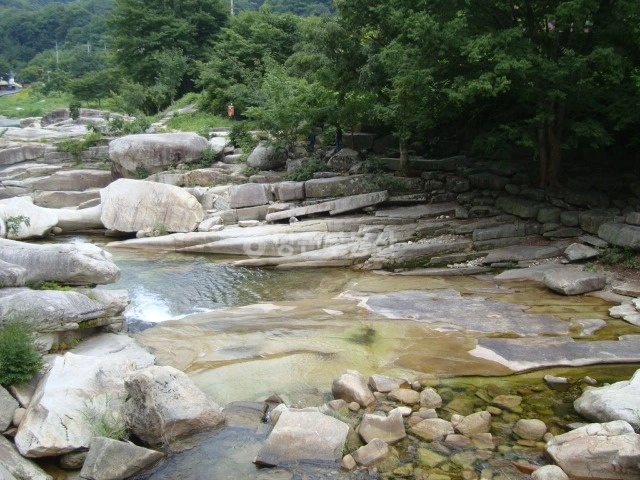 경상북도 문경시 동로면 토지 사진 1