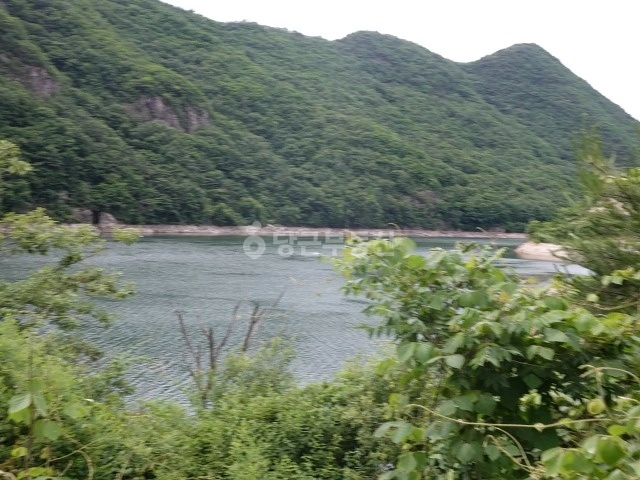 경상북도 문경시 문경읍 토지 사진 1