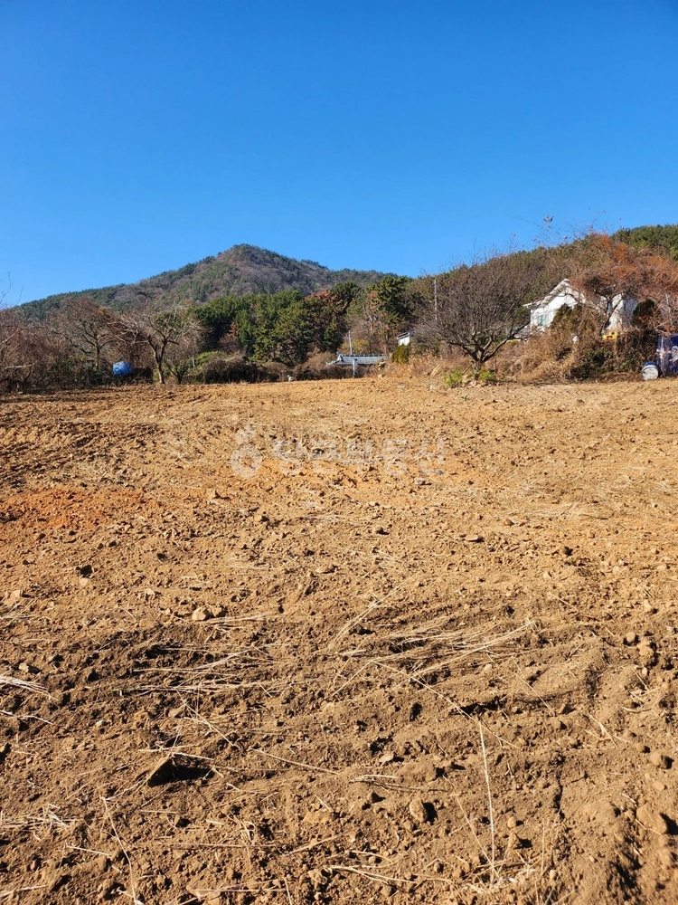 경상남도 창원시 마산합포구 구산면 토지 사진 1