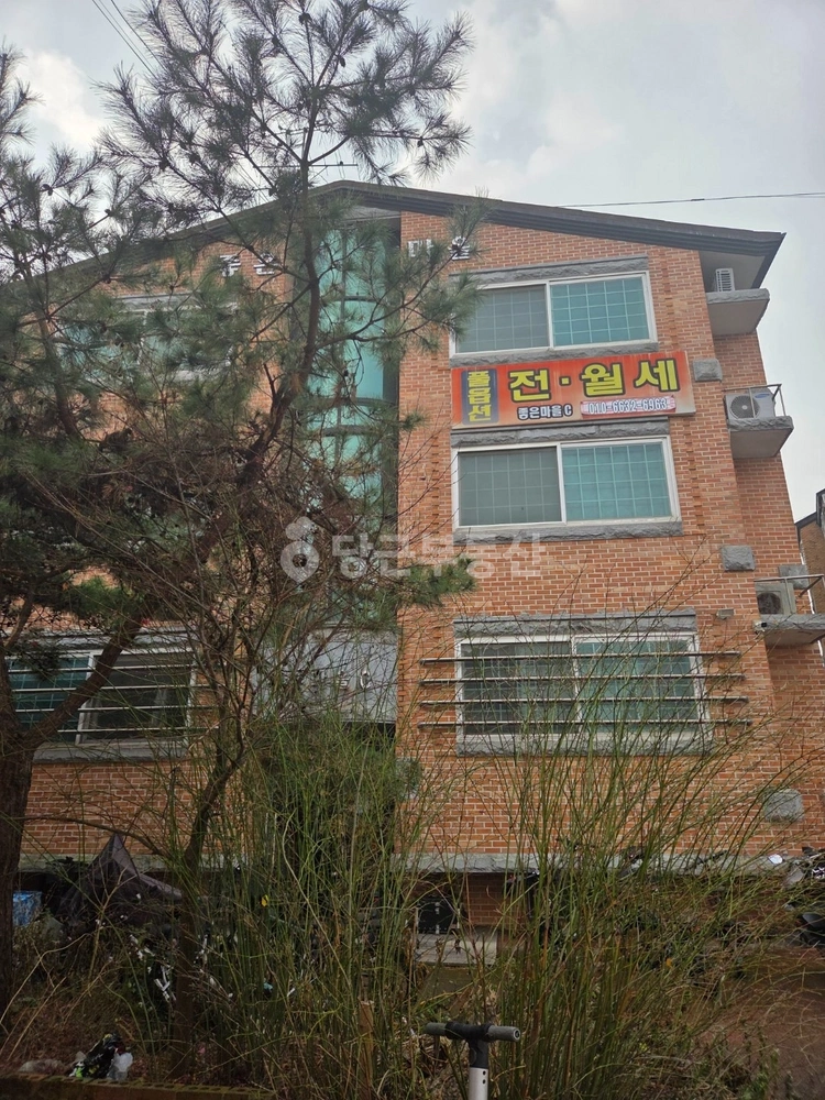 전북특별자치도 전주시 완산구 효자동3가 원룸 사진 1