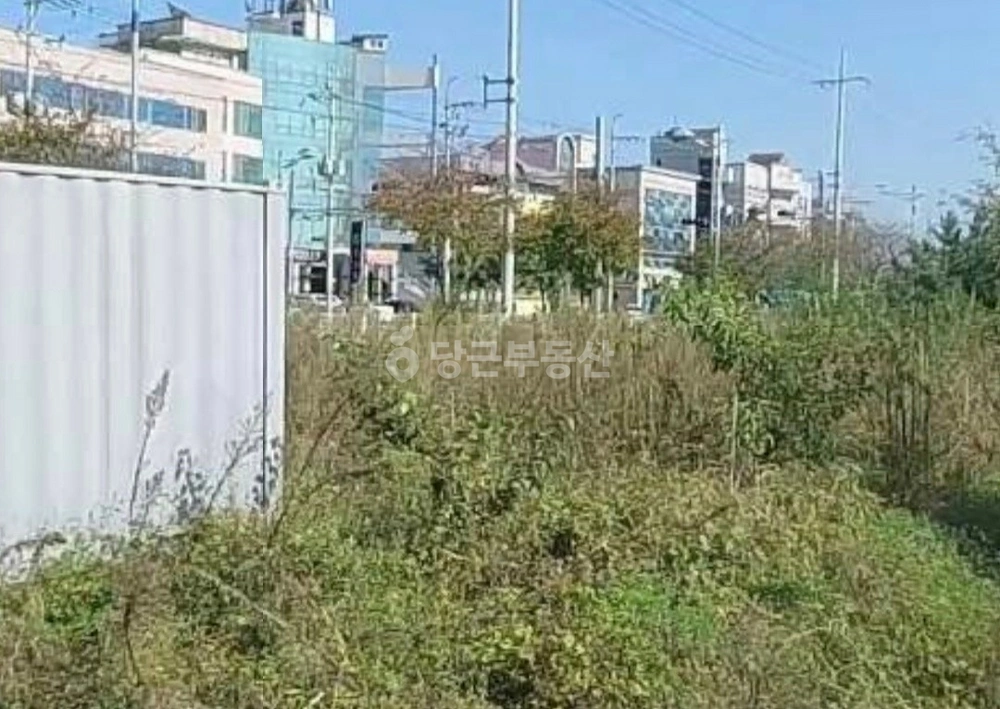 경상북도 경산시 진량읍 토지 사진 1