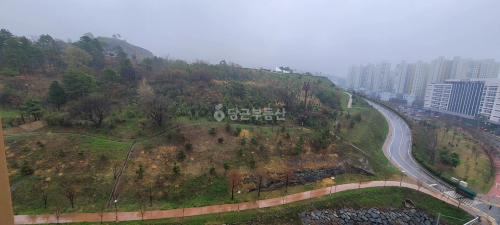 전남광주통합특별시 여수시 웅천동 오피스텔 사진 1