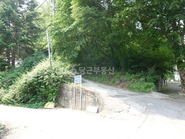 경기도 부천시 소사구 송내동 토지 사진 1