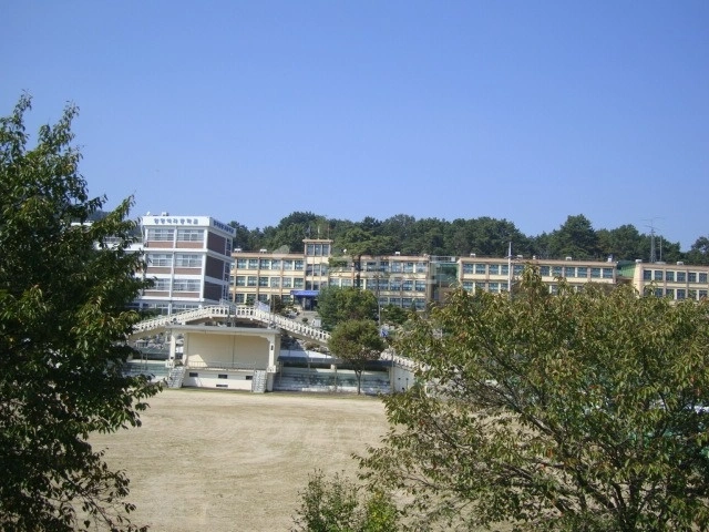 경기도 여주시 대신면 토지 사진 1