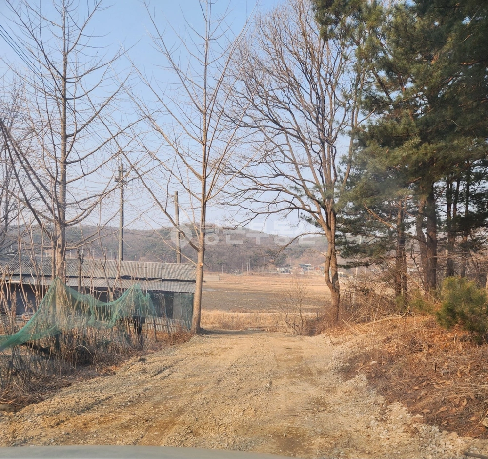 인천광역시 강화군 양사면 토지 사진 1