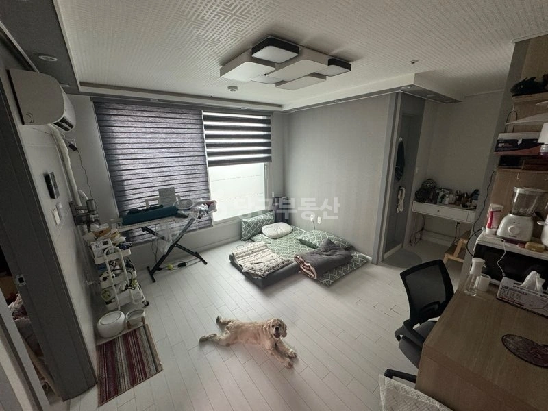 서울특별시 양천구 신월동 빌라(투룸 이상) 사진 1
