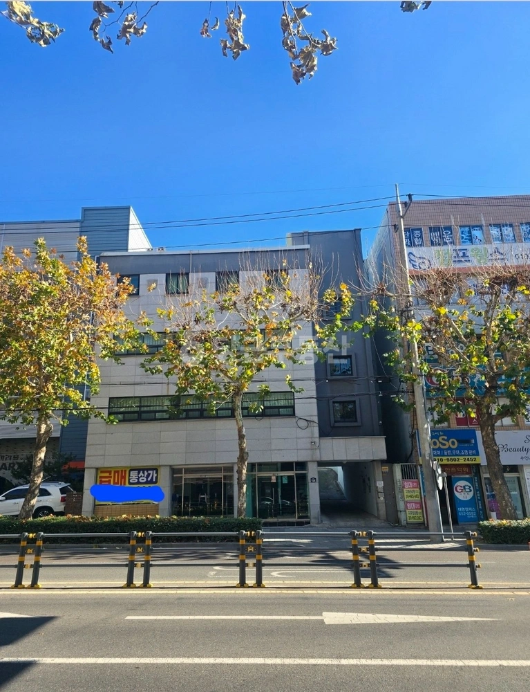 대구광역시 남구 대명동 건물 사진 1