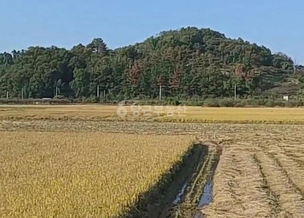 경상북도 청도군 화양읍 토지 사진 1
