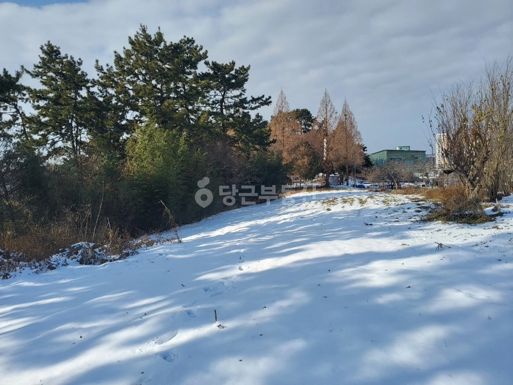 전남광주통합특별시 무안군 무안읍 토지 사진 1
