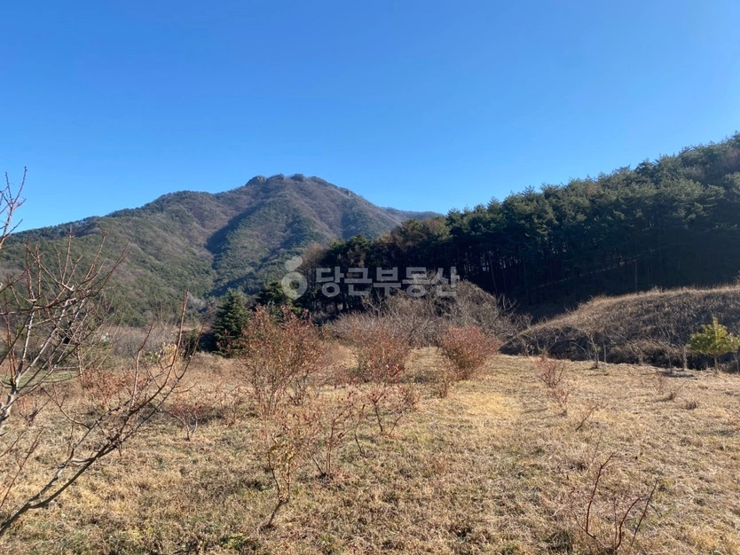 경상북도 경주시 서면 토지 사진 1