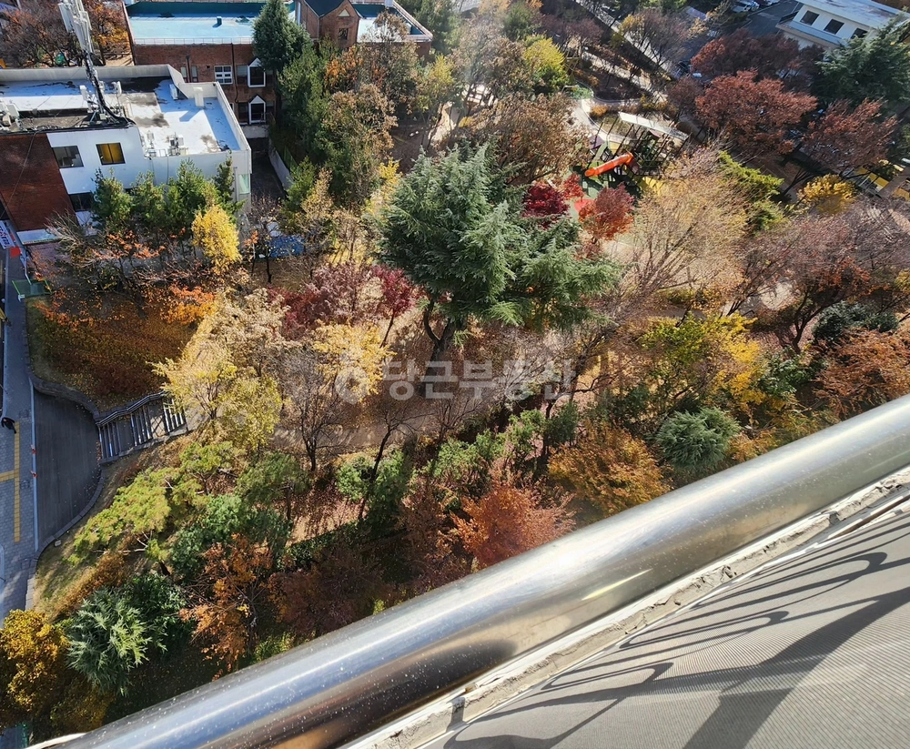 대구광역시 서구 내당동 아파트 사진 1