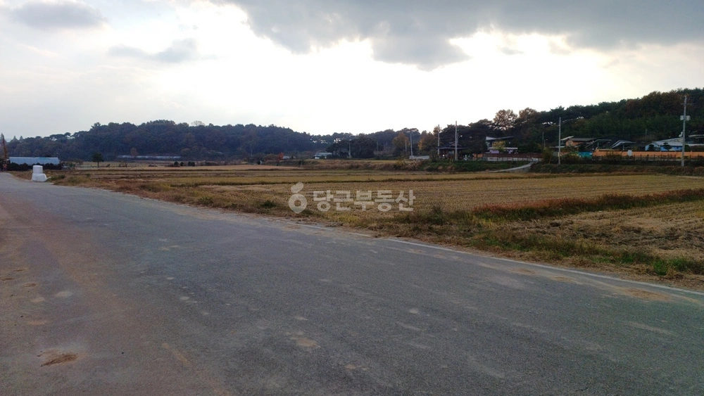 전남광주통합특별시 담양군 대전면 토지 사진 1