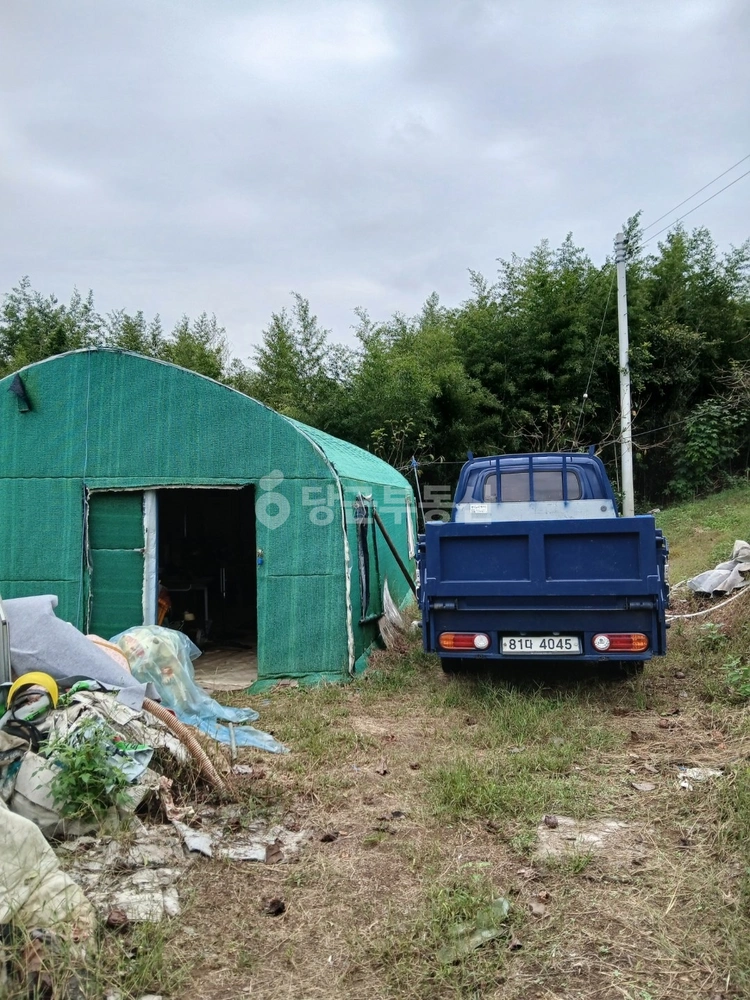 경상남도 진주시 진성면 토지 사진 1