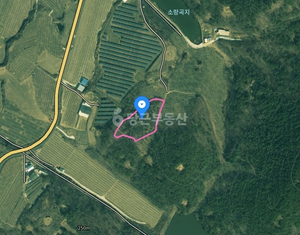 경상북도 의성군 옥산면 토지 사진 1