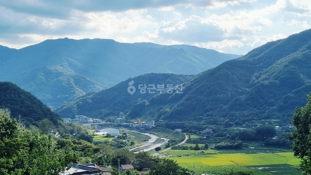 경상남도 하동군 화개면 토지 사진 1